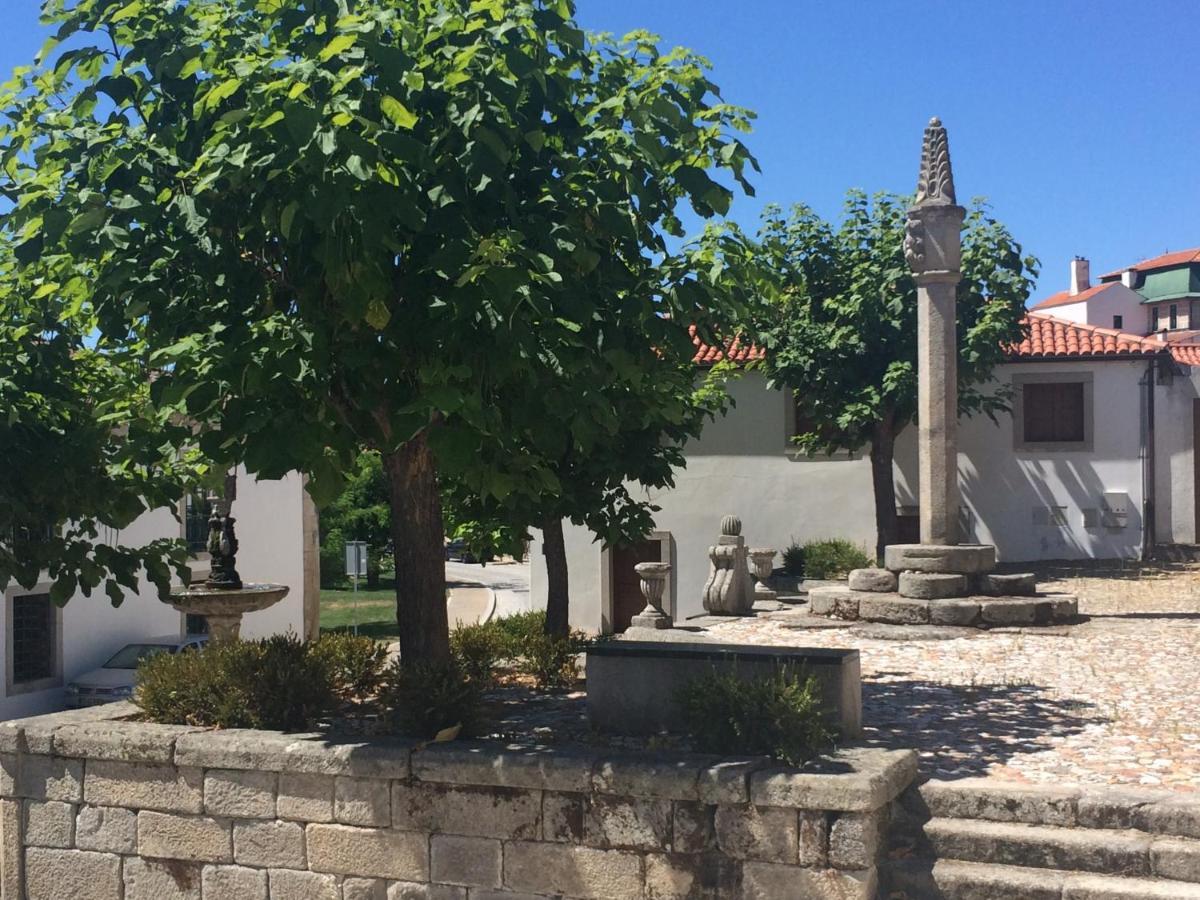 Вилла Douro House Карразеда-ди-Ансиайнш Экстерьер фото